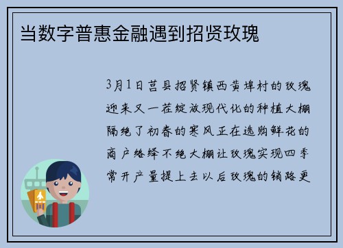 当数字普惠金融遇到招贤玫瑰