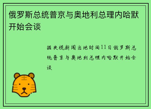 俄罗斯总统普京与奥地利总理内哈默开始会谈